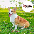 Miniatyrbillede 3 af 5: Hundekrave - Stærkt blødt materiale og læder camouflage krave til små og mellemstore hvalpe