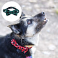 Miniatyrbillede 3 af 5: Julehundehalsbånd med sløjfe klassisk ternet snefnugmønster justerbart kæledyrsbånd