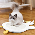 Miniatyrbild 5 av 5: 1 st kattklösbräda söt ankung kattklösbräda husdjur leksak snöre kattklösbräda för att reta katter