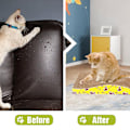 Miniatyrbild 3 av 7: Katt Repbräda Kartong Katt Repdyna med Premium Reptexturer Design Hållbar Katt Repdyna Vändbar