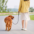 Miniatyrbilde 4 av 5: Hundeforing for trening - Langt bånd for utendørs