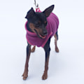 Miniatyrbillede 3 af 6: Hundetøj Hundeforklæder Let fleece ærmeløs Hundetøj Hund vinter varm sweater