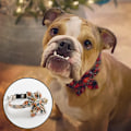 Miniatyrbillede 5 af 5: Justerbar Hundekrave med Blomstgave til Små, Mellemstore og Store Hunde
