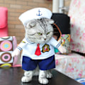 Miniatyrbillede 4 af 5: Kostumeudstyr med Hat til Hund og Kat Halloween Kostumer til Fest Jul Særlige Begivenheder Kostume Uniform med Hat Sjov Kæledyr