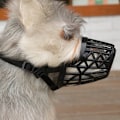 Miniatyrbillede 6 af 6: Hundekob, Kurv-Kob til Små, Mellemstore og Store Hunde for at Stoppe Bjeffing, Bid og Tygning