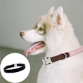 Miniatyrbilde 5 av 5: Hundekrage for små og mellomstore hunder med justerbar klassisk hundekrage stropp metallspenne
