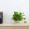Miniatyrbillede 3 af 3: Husbladsplanter Blomster Automatisk Selvvandeanordninger Klar Glas Vandfodrer Svaneform