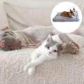 Pikkukuva 3 / 5: Plush-koiramatto lemmikkipesä syvään uneen koiran sohva sänky
