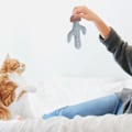 Miniatyrbild 6 av 6: 2 st katt leksak Pingvin/blomma/kaktus/katt/mus Katt Hög Nöjes lindrare Catnip bit leksak