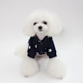 Miniatyrbild 5 av 5: Husdjurskläder Husdjur höst och vinterkläder Hund femstjärnig tröja