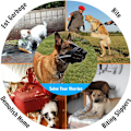 Miniatyrbillede 7 af 7: Hundemundkurv, Åndbar Kurvmundkurv til Små og Mellemstore Hunde, Stop Bideri, Gøen og Tygning, Bedst til Aggressive Hunde