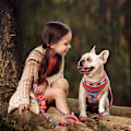 Miniatyrbillede 7 af 7: Pet Patterns Blød & Behagelig Vellavet Dyb Blomster No Pull Mesh Hvalpe Hund Sele Vest, Justerbare Sele til Hunde & Katte