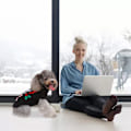 Miniatyrbillede 4 af 6: Hundejuletrøjer Kæledyrs Vinterstrikketøj Jule Tøj Klassiske Varme Frakker Trøje til Hvalp