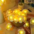 Miniatyrbild 2 av 8: LED konstgjorda Plumeria Flower String Lights- Hawaiian Foam Frangipani Flower Light, USB -driven, Fairy String Light för sovrum, födelsedagsbröllop