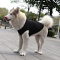 Miniatyrbillede 3 af 6: 4 stk. kæledyrs kølige åndbare kortærmede kæledyrsforsyninger hund ensfarvet tøj hundetøj