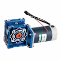 Miniatyrbilde 8 av 8: Snekkegirsmotor i rustfritt stål 90W 2200 o/min XD5D90-24A121SRV-RV40 Reduseringsforhold DC24V(60 )