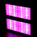 Miniatyrbilde 1 av 8: 1000W LED-vekstlys Fullspektrum for tette blomster Hydroponics Innendørs Drivhus UK