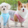 Miniatyrbillede 5 af 5: 2 Pak Hundetrøjer Hurtigtørrende Bløde Strækbare Hundetrøjer med Reflekterende Etiket Tanktop Ærmeløs Vest Hundetøj