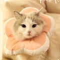 Miniatyrbild 3 av 6: 1 st justerbar blomma typ katt tratt krage mjuk, söt katt återhämtning krage för katter efter operation katt tratt