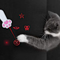 Miniatyrbild 4 av 8: Interaktiva katt- och hundleksaker för inomhusbruk, LED-projektion, husdjursträningstillbehör, presenter till barn.