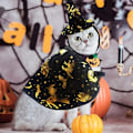 Pikkukuva 3 / 6: Lemmikkieläinten Halloween-noitaviittasetti, koiran ja kissan hattu ja viitta, asusteet