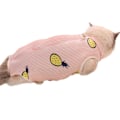 Miniatyrbillede 1 af 6: Kirurgisk tøj til katte, steriliserings tøj til hun-katte, genoptræningstøj