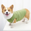 Miniatyrbilde 3 av 5: Ny koselig hettegenser for vinteren, perfekt for Corgi og Shiba Inu