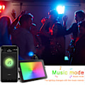 Miniatyrbild 3 av 8: 30W RGB LED-strålkastare, Bluetooth APP-kontrollfärgskiftande LED-strålkastare, musiksynkronisering, timing, 2700K varmvit, IP66 vattentät utomhus