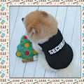Miniatyrbillede 3 af 5: Hundeklæder - Cool T-shirt i Solid Farve