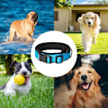 Miniatyrbillede 5 af 5: Reflekterende nylon hundekrave med åndbar neoprenpolstring, justerbar