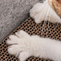Miniatyrbild 4 av 5: Kattklösbräda, inomhuskattsäng med klösstolpe, kattklösbräda bräda fritidsbädd