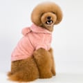 Miniatyrbillede 3 af 6: Efterårs- og vinternye hundeklæder Lille bjørneøre kæledyrs tøj