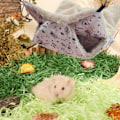Miniatyrbillede 4 af 7: Hængende Hammock til Små Dyr, Burlegetøj til Hamster, Ferret Bunkbed