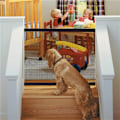Pikkukuva 3 / 8: Baby Gate Magic Gate koirille, sisä- ja ulkokäyttöön, kannettava verkkoaita, helppo asentaa