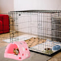 Pikkukuva 5 / 5: 1 kpl vaaleanpunainen hamsterin puuvillapesä neljässä koossa Valitse hollantilainen porsas kukkahaara Guinea Pig Nest talvivarusteet