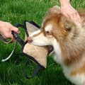 Miniatyrbillede 2 af 5: Holdbart hundetrænings-bidepudeovertræk med håndtag