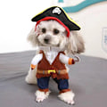 Miniatyrbild 5 av 5: Husdjur Hund Kostym Ny Rolig Husdjur Kläder Pirat Hund Katt Kostym Dräkt Corsair Klä upp Fest Kläder Kläder för Katt Hund Plus Hatt