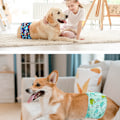 Miniatyrbilde 7 av 7: Vaskbare Hundefiler for Hannhunder (Pakke med 3), Gjenbrukbare Magebånd for Hannhunder, Mageinnpakning for Hannhunder