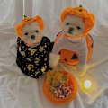 Miniatyrbilde 5 av 5: Høstdressing for katt i form av gresskar - Søt cosplay-kostyme for kattunger/små hunder