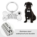 Miniatyrbilde 5 av 5: Hunde-ID-merke med gravering, morsomt kjæledyr-ID-merke, personlig ID-merke i rustfritt stål, kragemerke for hund