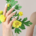Miniatyrbillede 3 af 7: 15 pak (360 stk) matte neglepresser medium længde, ballerina Coffin akryl korte falske negle sæt til neglekunst DIY