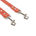 Miniatyrbilde 4 av 5: Hundeleie - Hundeleie for mellomstore og små hunder/katter, trening, gåing og løping