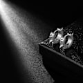 Miniatyrbillede 2 af 5: Edgy Dangle Øreringe, Punk Smykker, Sort/Rustfrit Stål/18K Forgyldt