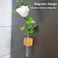 Miniatyrbild 4 av 11: Kylskåpsmagneter Vas, Mini Glasvas, Magnetisk Väggplanta i Trä beech L 1pcs