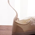 Miniatyrbild 8 av 11: 2 st Lazy Shoe Helper Handled Shoe Horn Shoe Lifting Helper white one-size 2pcs