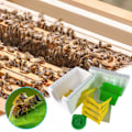 Miniatyrbild 4 av 11: Enkel Biodling Drottningodling Parning Nuc Skörd Pollinera A One size