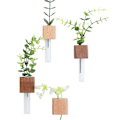 Miniatyrbild 8 av 11: Kylskåpsmagneter Vas, Mini Glasvas, Magnetisk Väggplanta i Trä beech L 1pcs