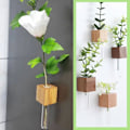 Miniatyrbild 2 av 11: Kylskåpsmagneter Vas, Mini Glasvas, Magnetisk Väggplanta i Trä beech L 1pcs