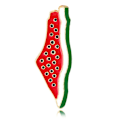 Miniatyrbild 1 av 11: Vattenmelon Emalj Pin| Vattenmelon Palestina Pin | Kuffiyeh M6H3 HOT Pin P5A8 style3 One size