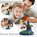 Miniatyrbild 3 av 11: Elektrisk Fågel Röststyrning Papegojor Kontorsinredning Gåva Sensor Si 1 1pcs
